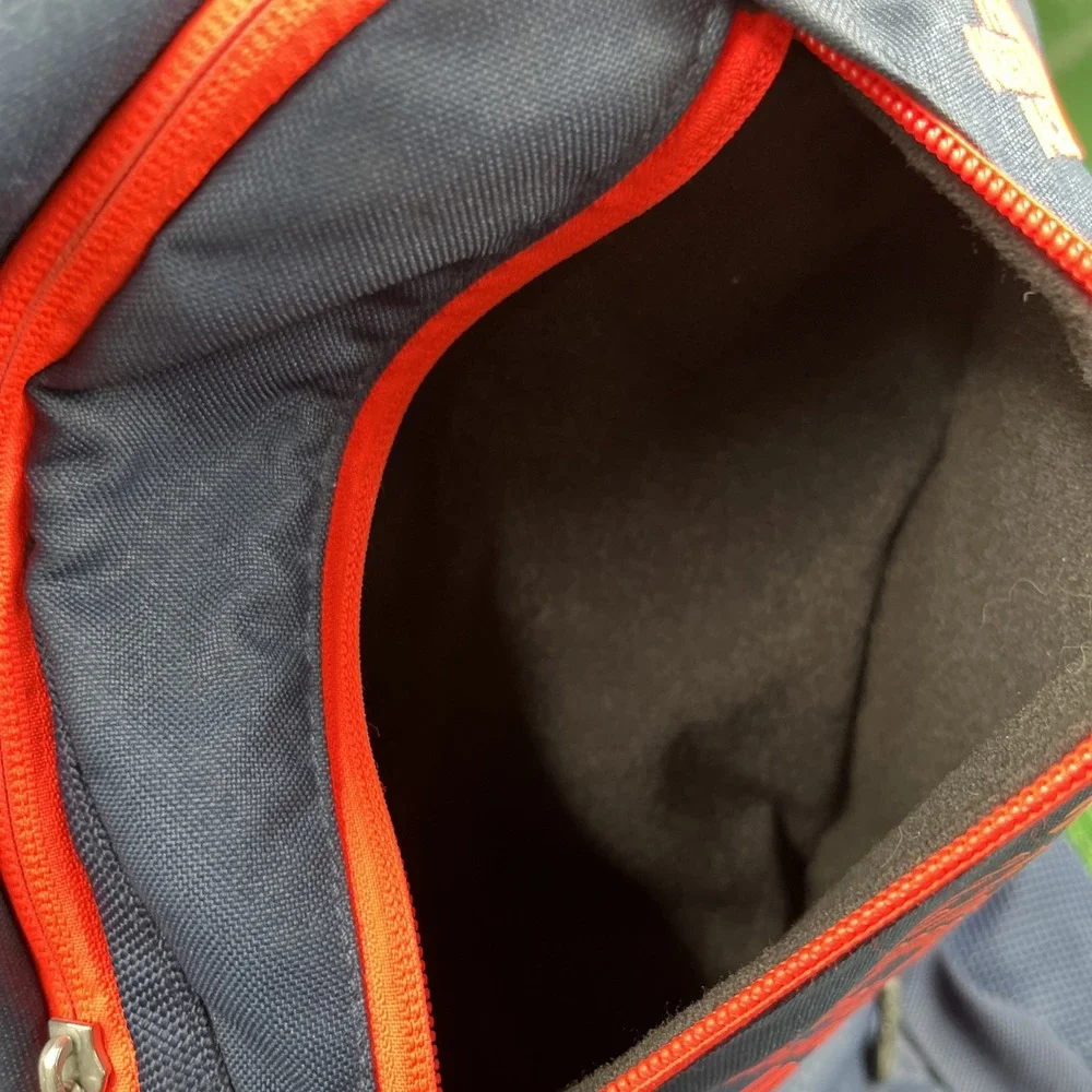 The North Face Blue And Pink Backpack With‎ Padding For Laptop Large